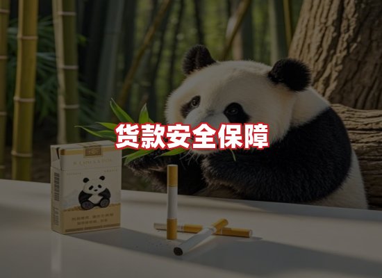 专业团队